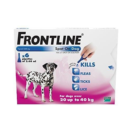 Frontline Spot On Large Dog - Avm GSL