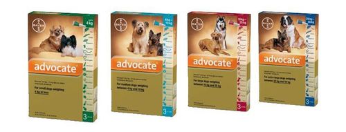 Advocate Dog 40 Small (<4kg) — Each