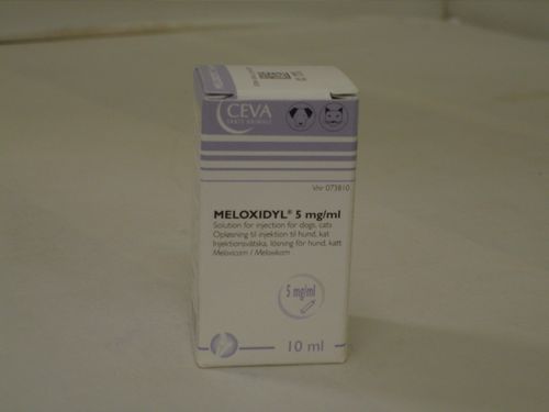 Meloxidyl Injection 5mg/ml 10ml