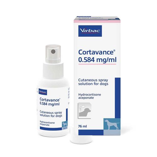 Cortavance 0.584% Spray Dog