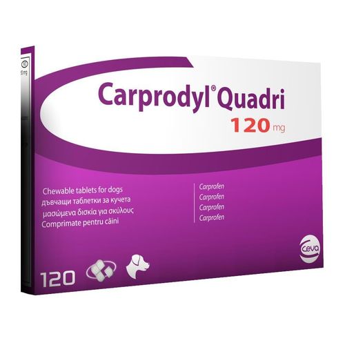 Carprodyl Quadri Tablets 120mg