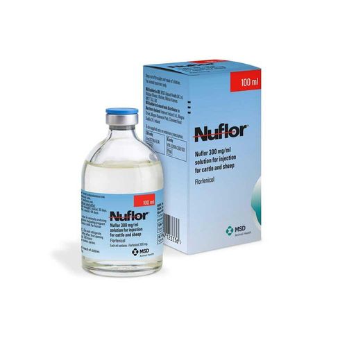 Nuflor Injection 100ml EA