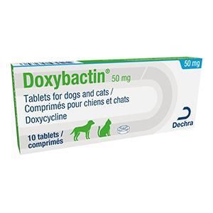 Doxybactin Tablets 50mg Cat/Dog