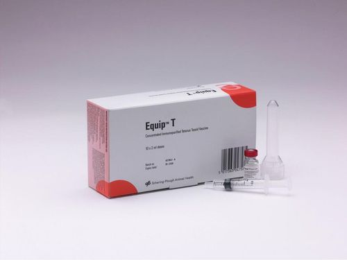 Equip T Injection (New) 10d