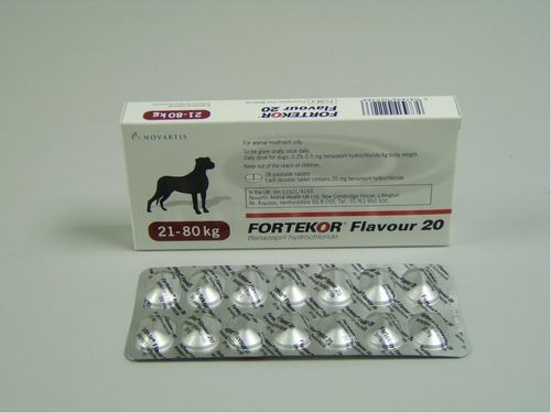 Fortekor Flavour Tablets 20mg