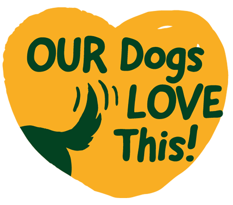 Yarrah Organic Vegan Larger Dog Biscuits 500g
