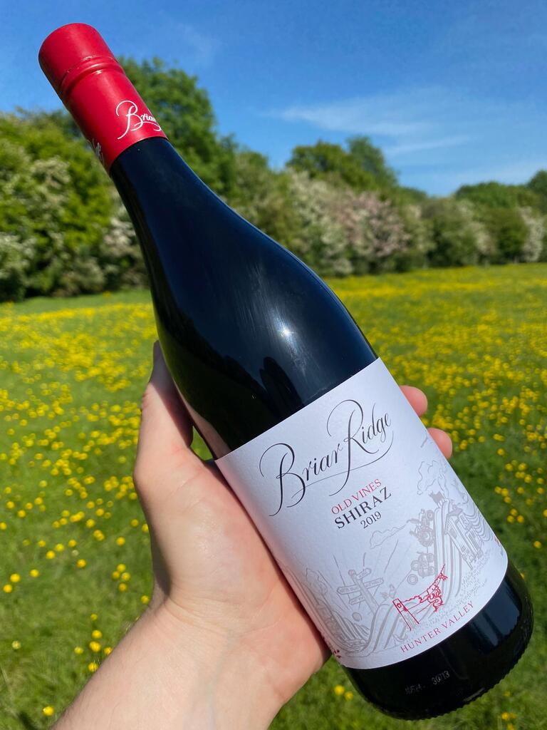 Wine of the Week - Briar Ridge Old Vines Shiraz, 2019