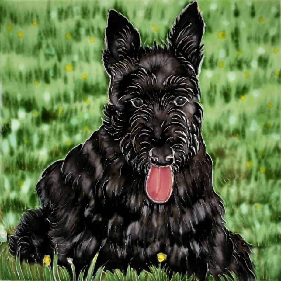Benaya Ceramic Art Tile 20cm x 20cm - Black Scottish Terrier