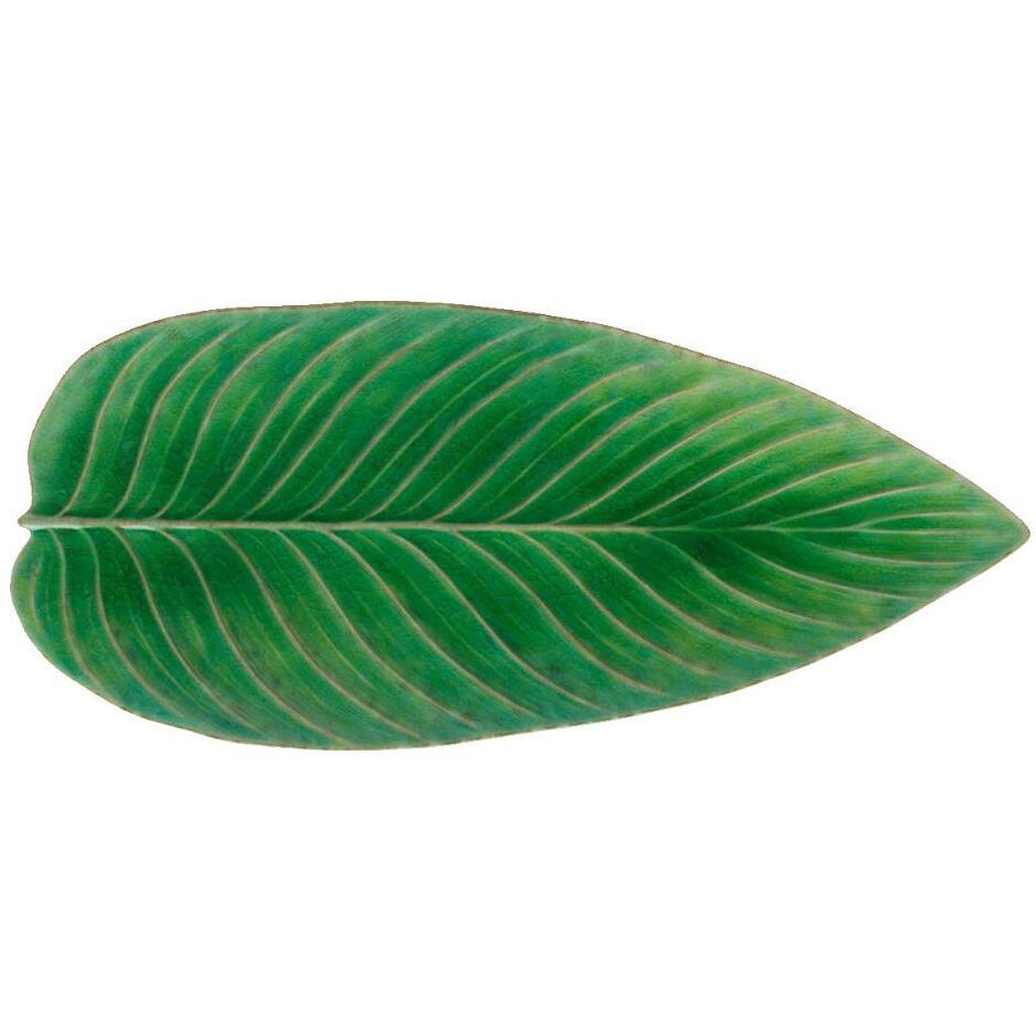 Costa Nova Riviera Tomato Green Strelizia Leaf 40cm