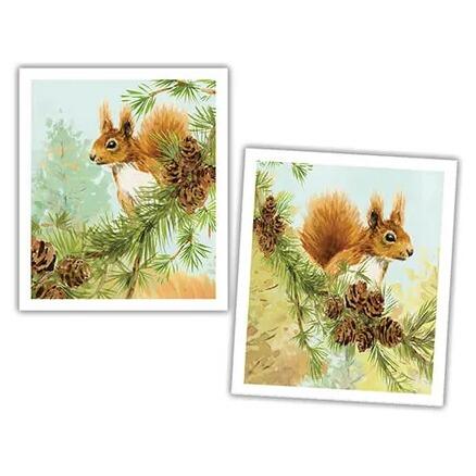 National Trust Red Squirrel Plant Based Set of 2 Cleaning Cloths