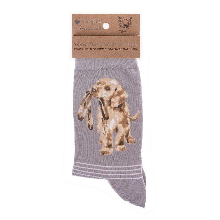 Wrendale Designs - Ladies Socks - Dog - Hopeful Labrador - Lilac