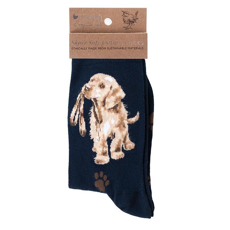 Wrendale Designs - Ladies Socks - Dog - Hopeful Labrador - Navy Blue