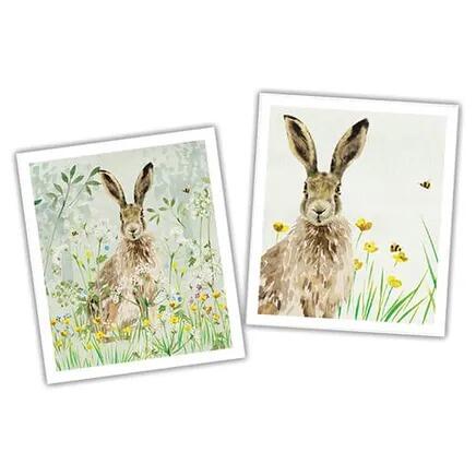 National Trust Hare Plant Based Cleaning Cloths Set of 2