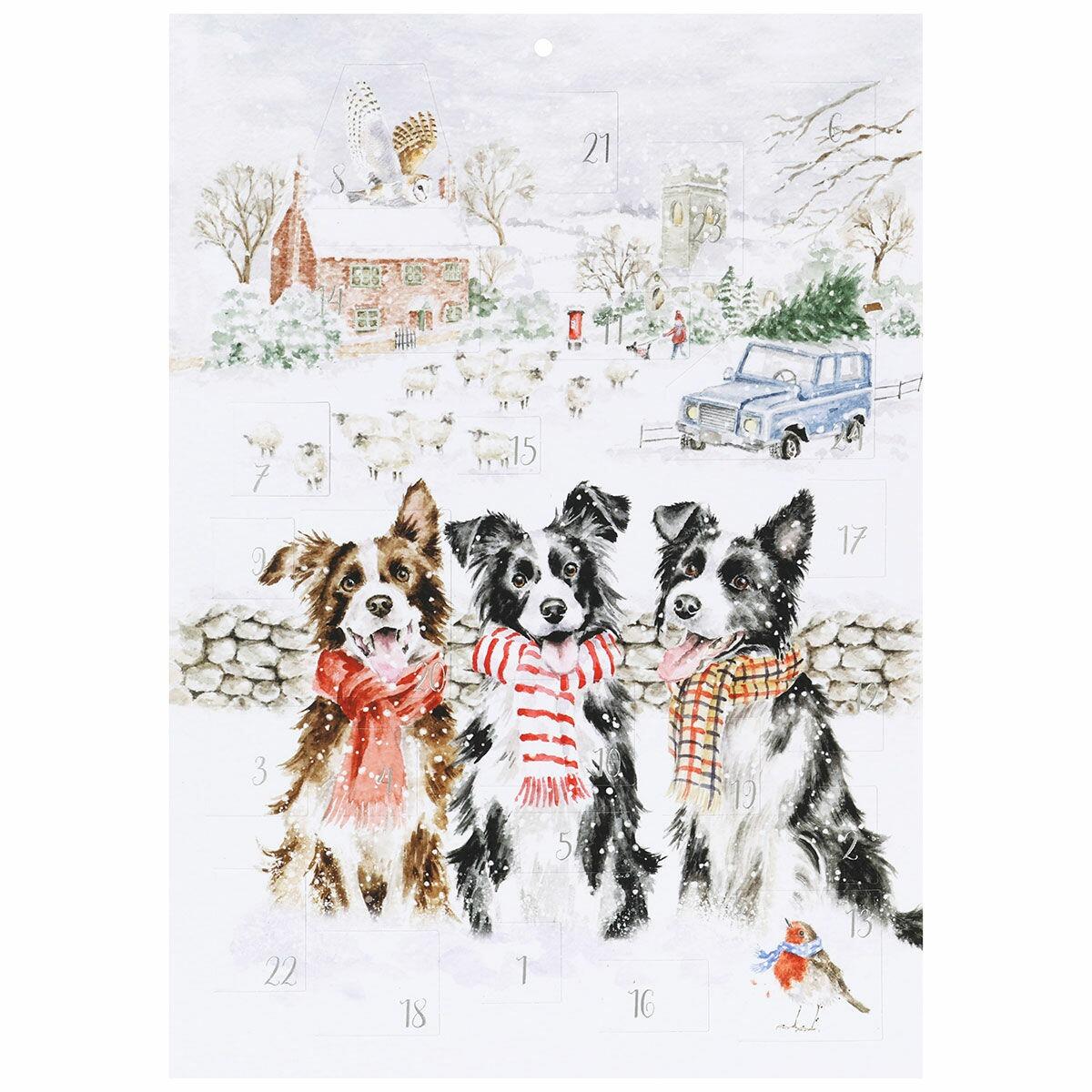 Wrendale Designs - Advent Calendar - 'While Shepherds Watched' Border Collies