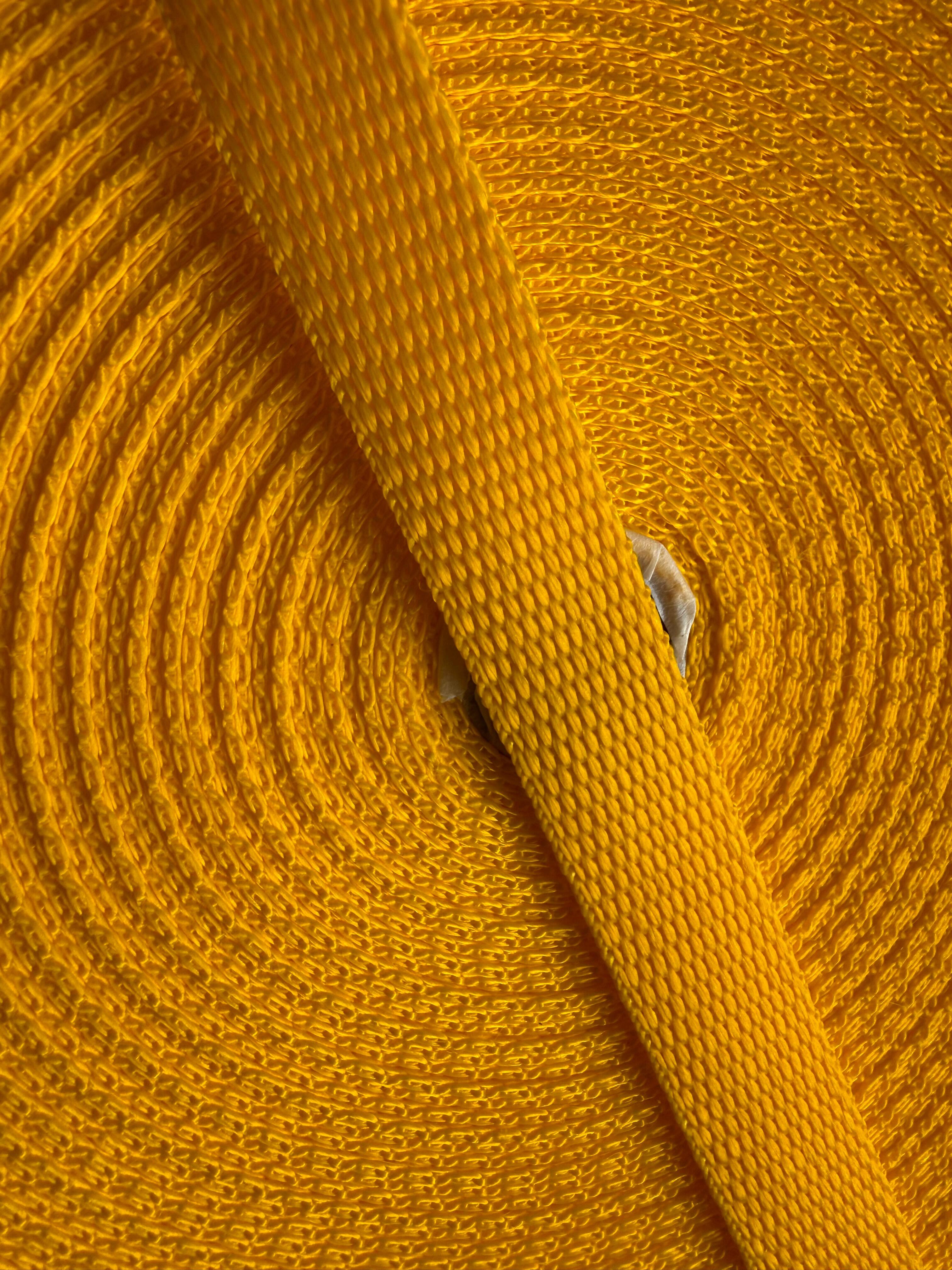 Yellow Webbing