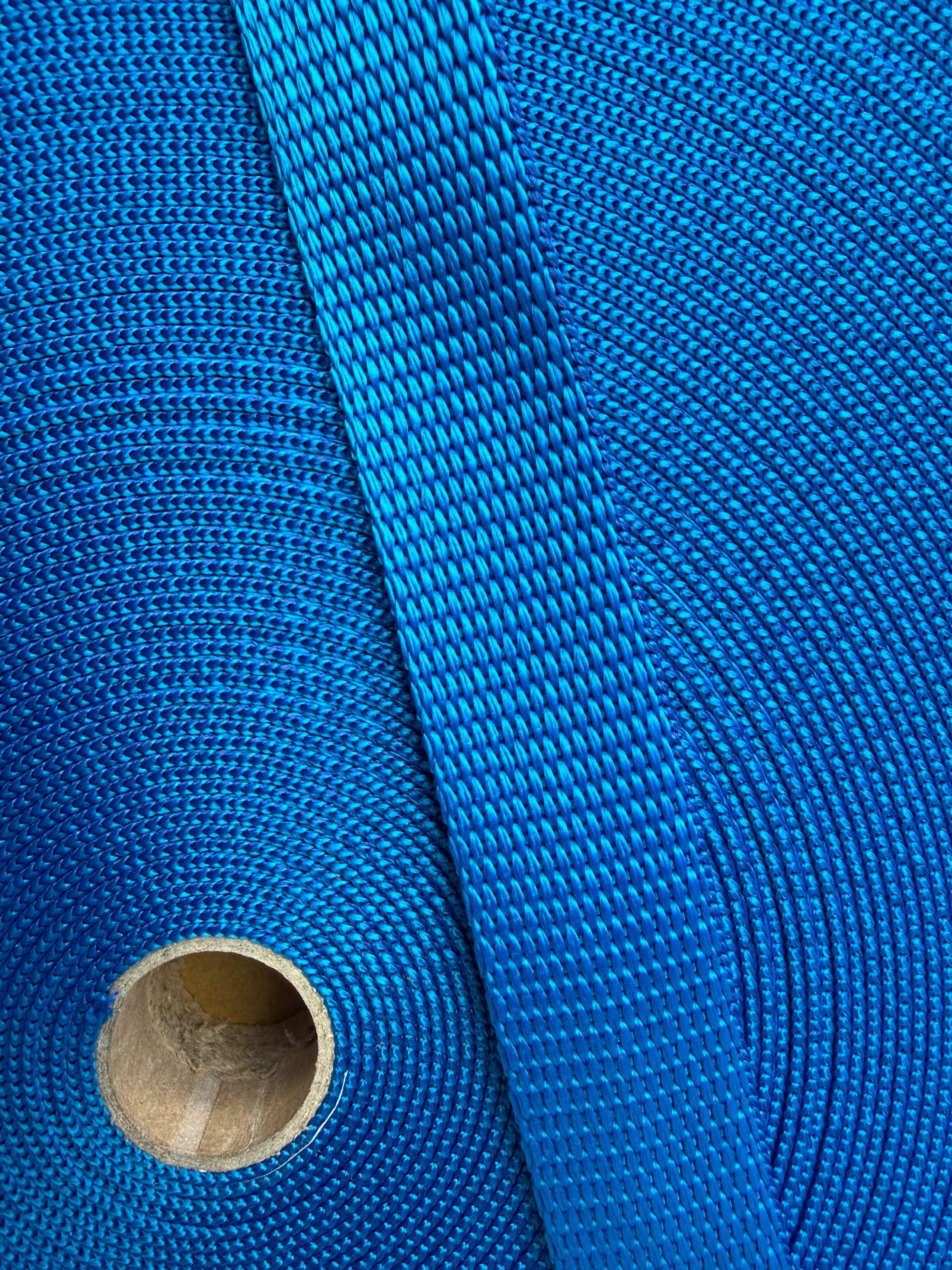 Electric Blue Webbing