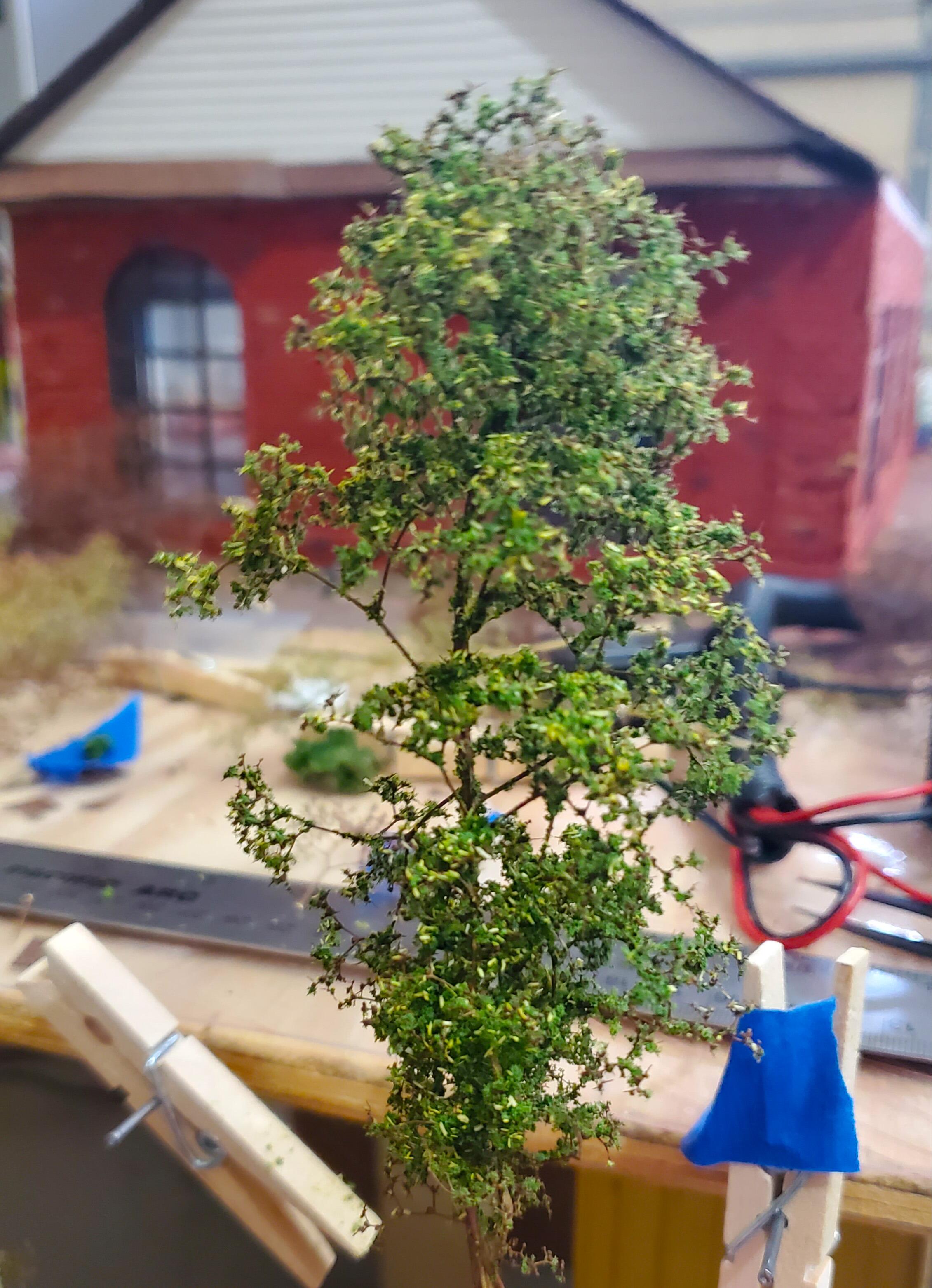 scale model trees