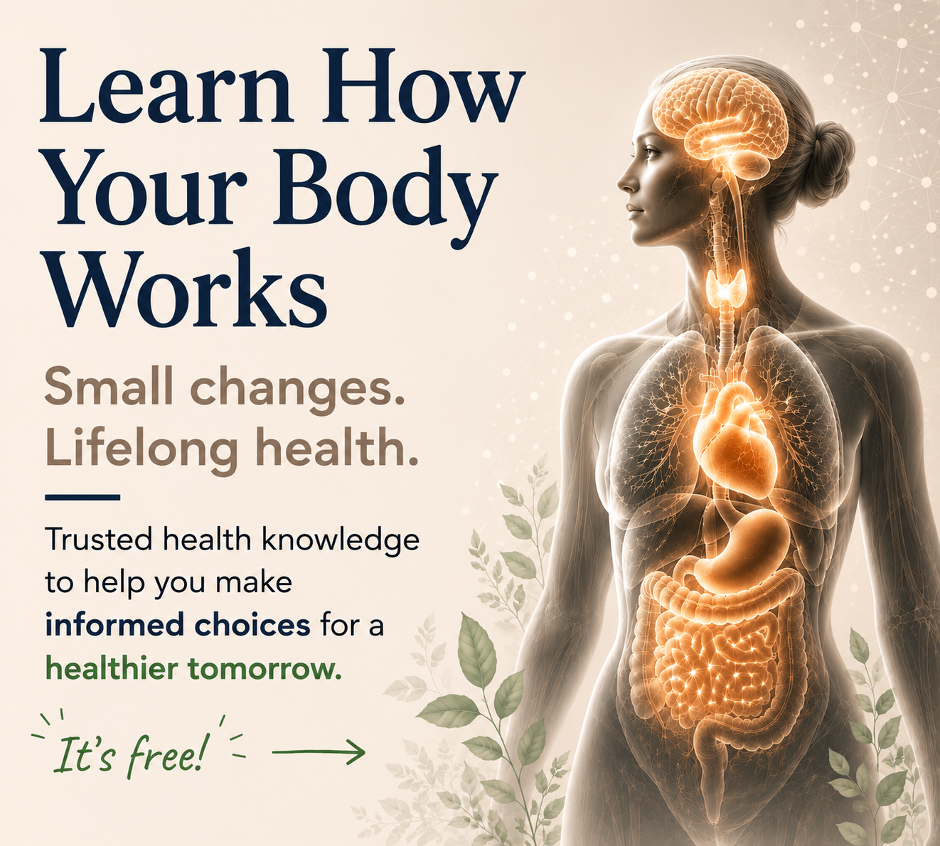 Health Mastery mobile homepage banner showing an inspiring mountain sunrise with a silhouetted person standing with arms outstretched alongside the message 'Knowledge empowers. Prevention protects. Natural solutions support.' and a call to explore the free Health Hub.