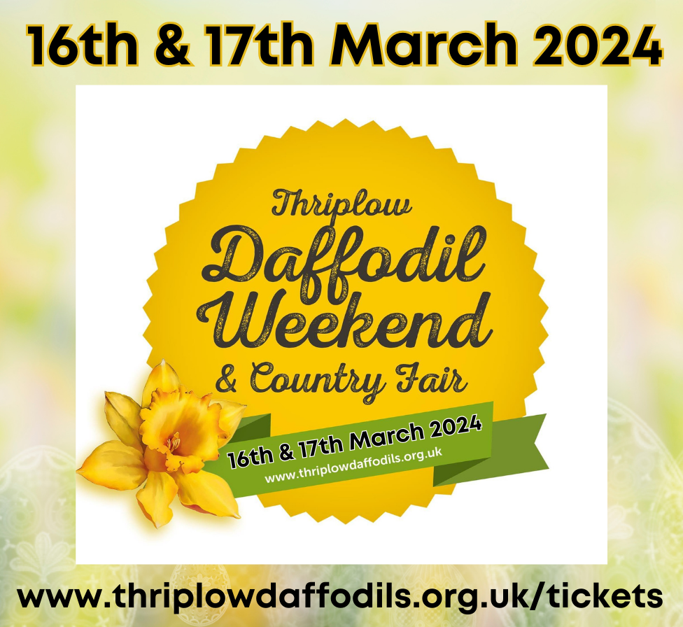 Thriplow Daffodil weekend - Sat 16th & Sun 17th March 2024