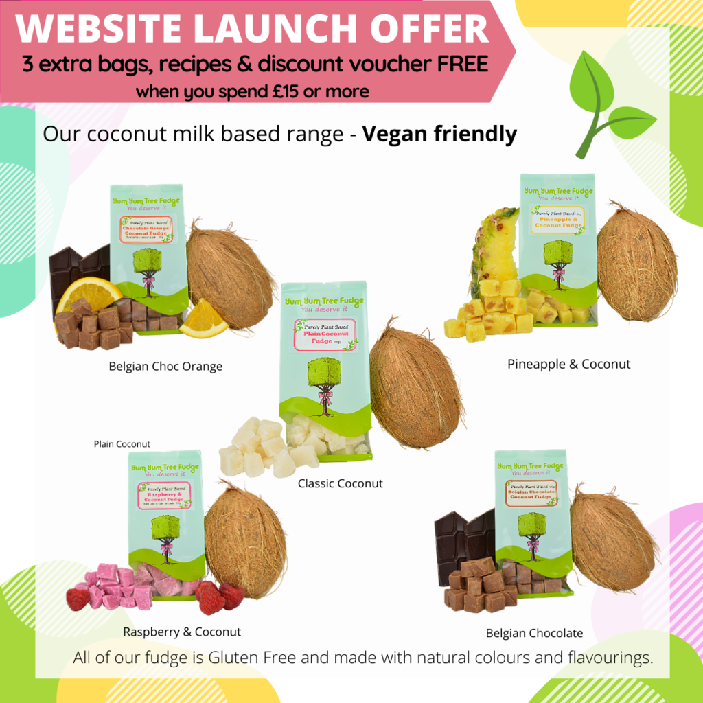 Coconut & Oat based fudges