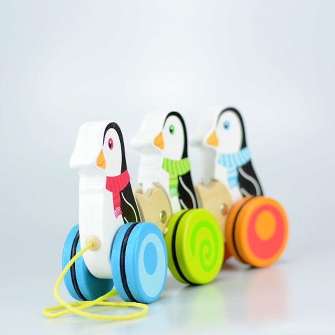 Push & Pull Along Toys