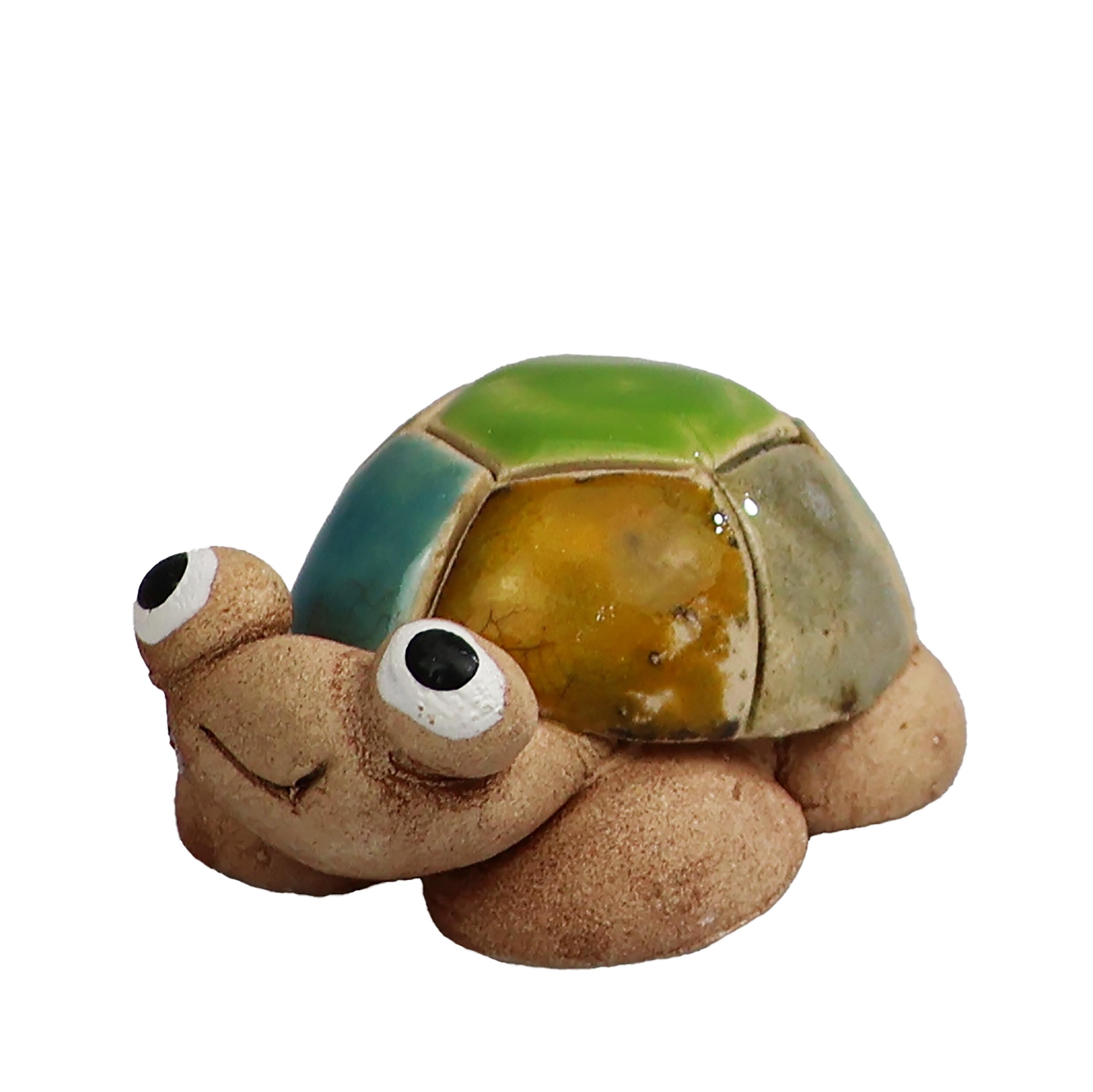 Mini Cute Tortoises Supplied at Random | Gift Boxed