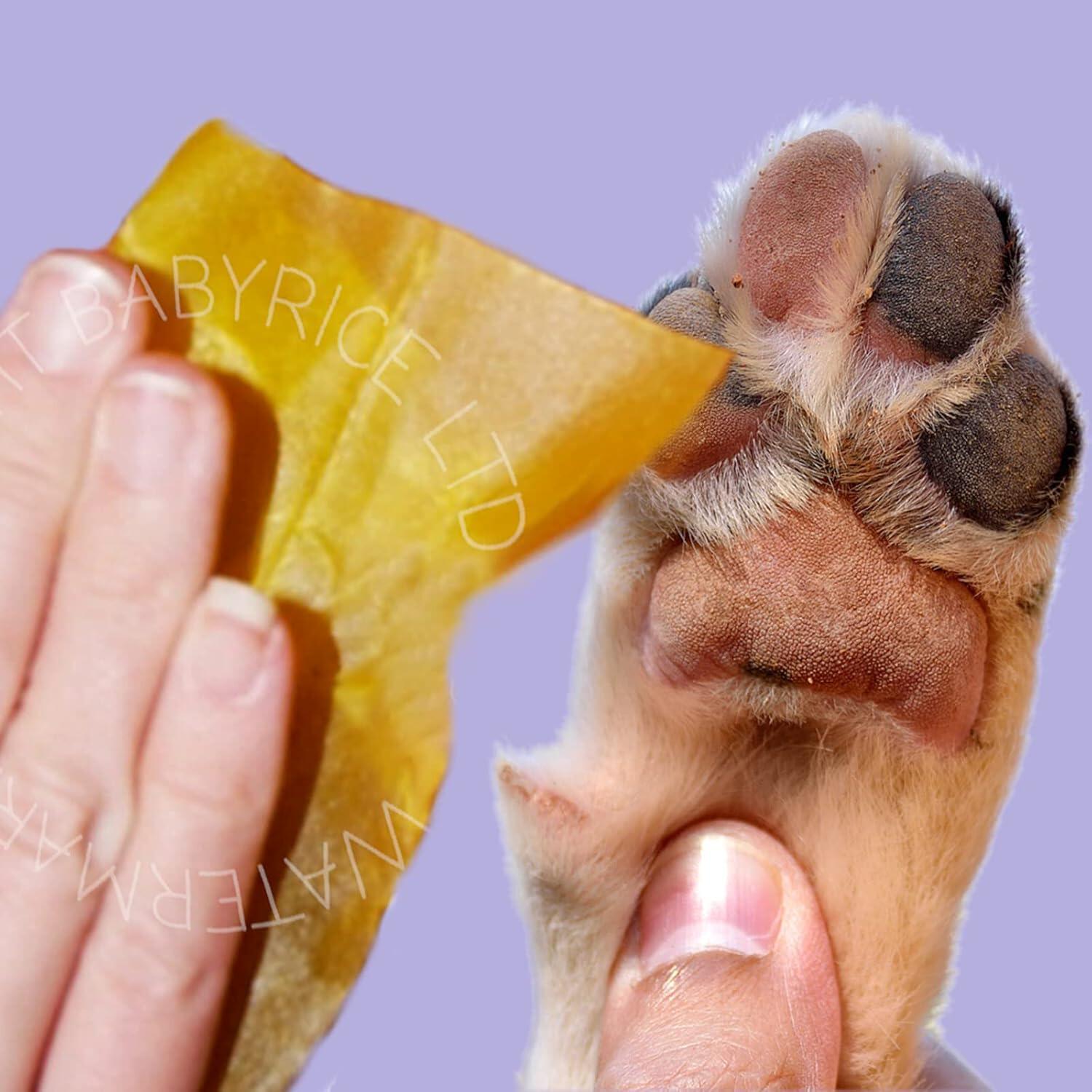 Dog Pawprints Kit Inkless paw printing