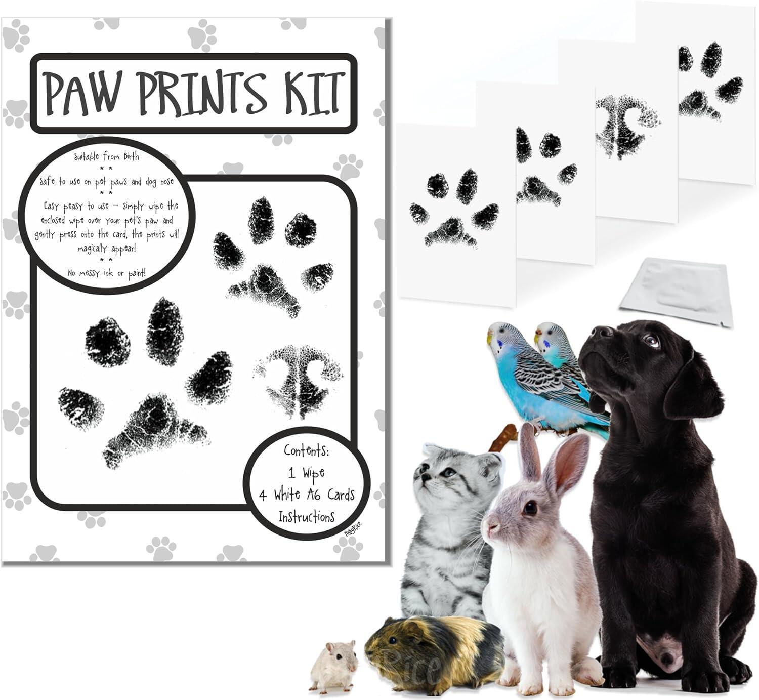 Pet Paw Prints Kit Inkless pawprinting 1 wipe 4 A6 cards