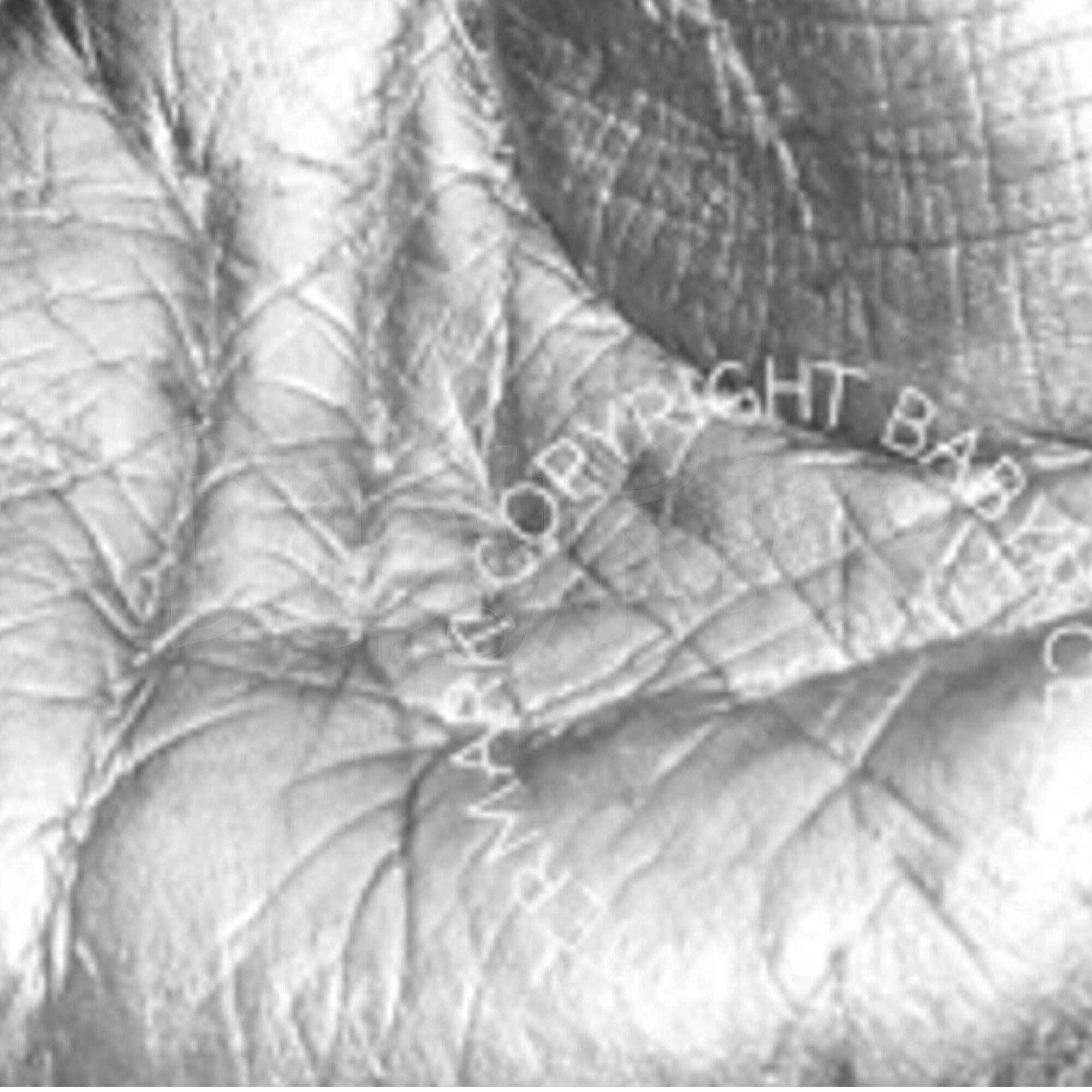 Make Highly Detailed 3D Impression Moulds with BabyRice Fast Set Alginate