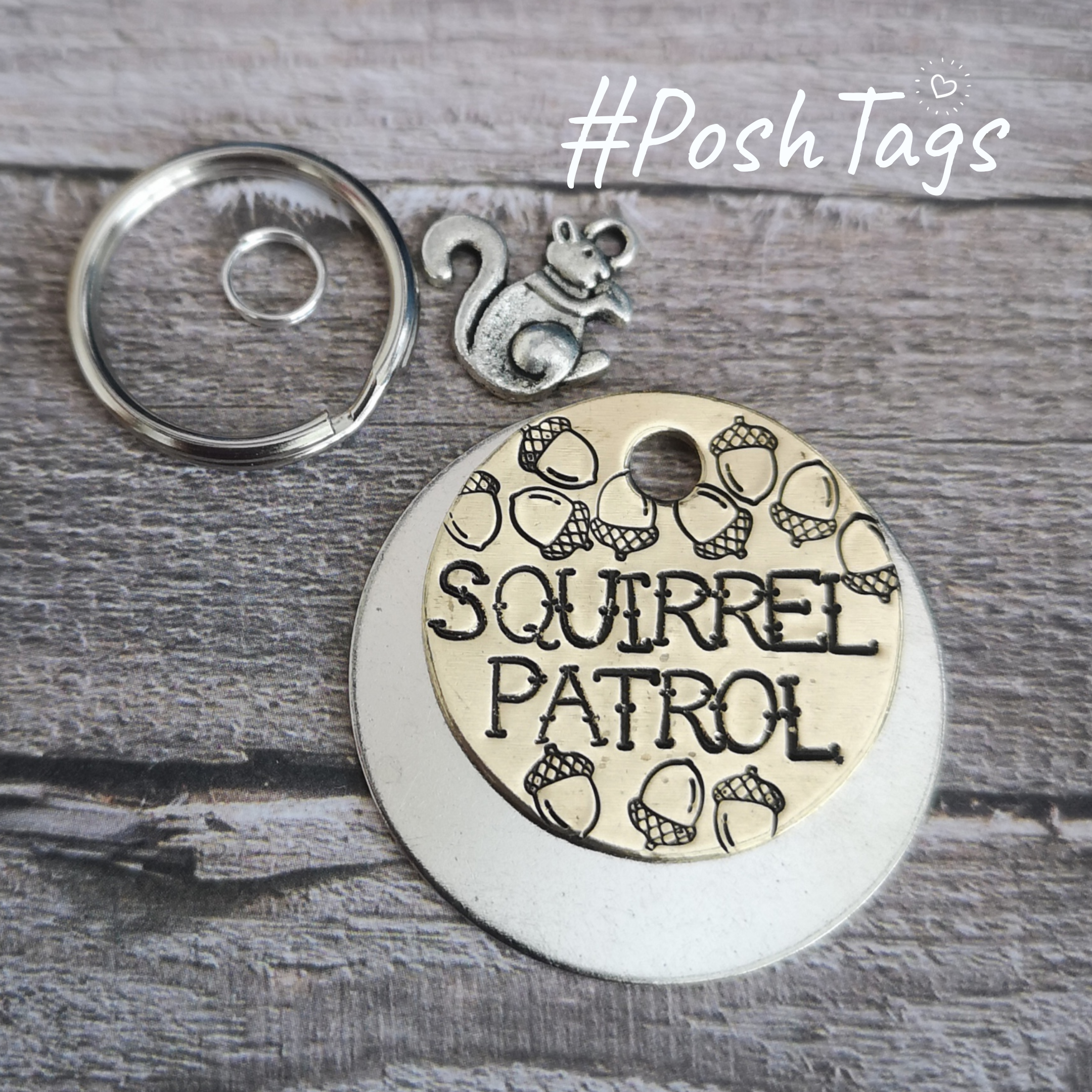 Squirrel patrol - funny cat dog tag pet tag ID #PoshTags