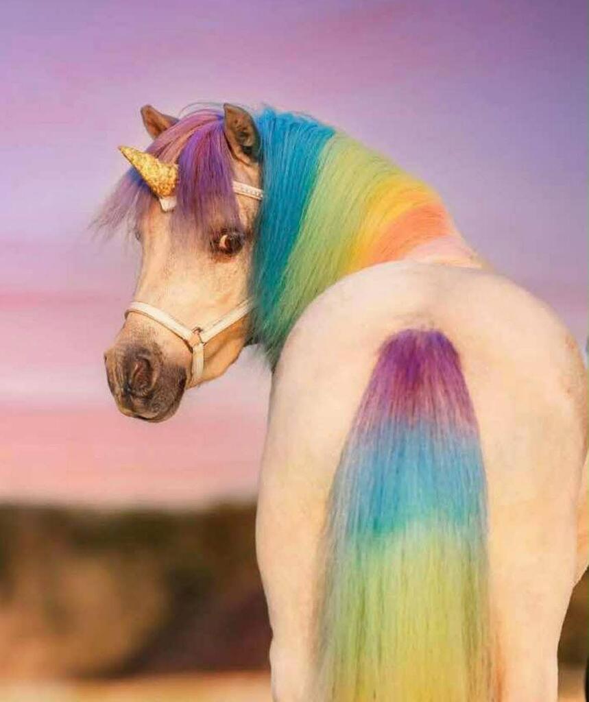 Yes, We Hired a Unicorn—HR Approved This: Meet Henny, Our New Ambassador