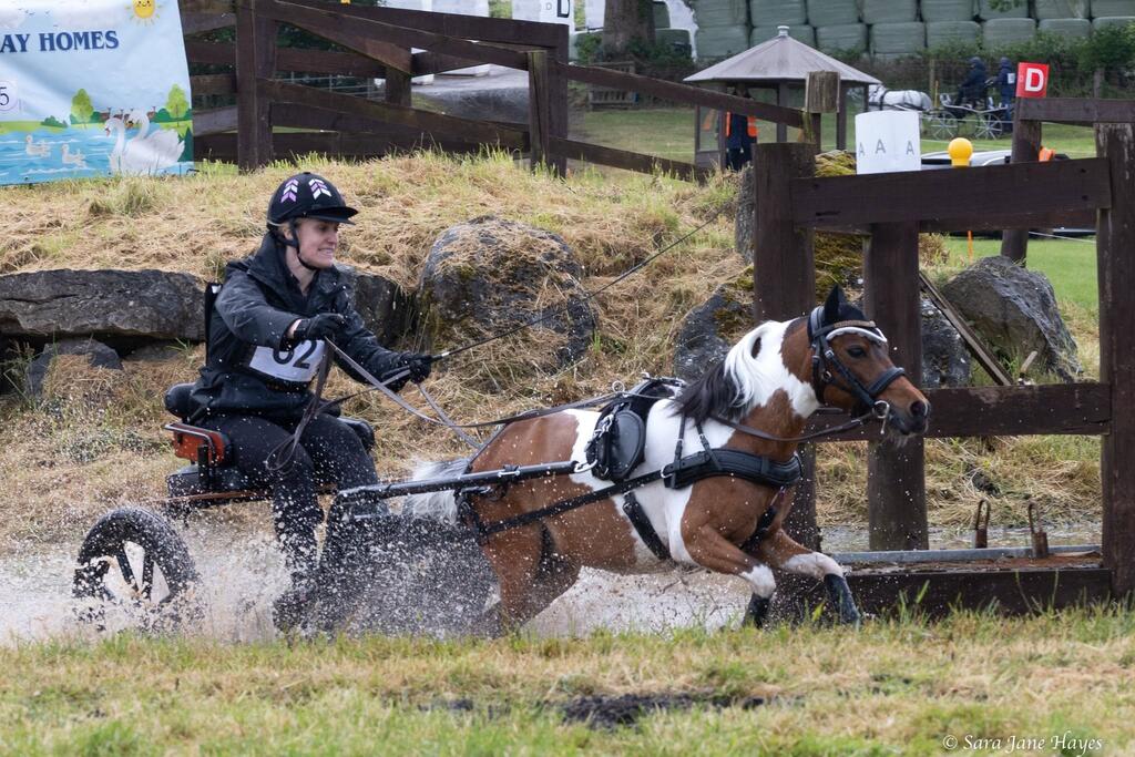 Tiny Horse, Big Attitude: Didi Takes on Her First Three-Day National British Carriage Driving Event -VSE