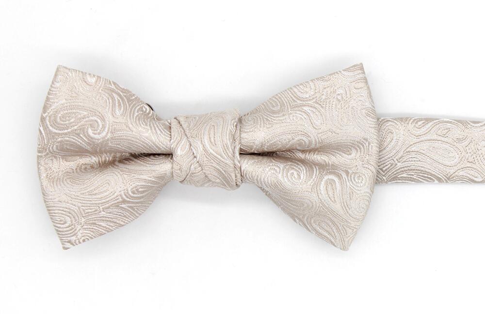 Mix-and-Match Wedding Paisley Boys' Bow Tie