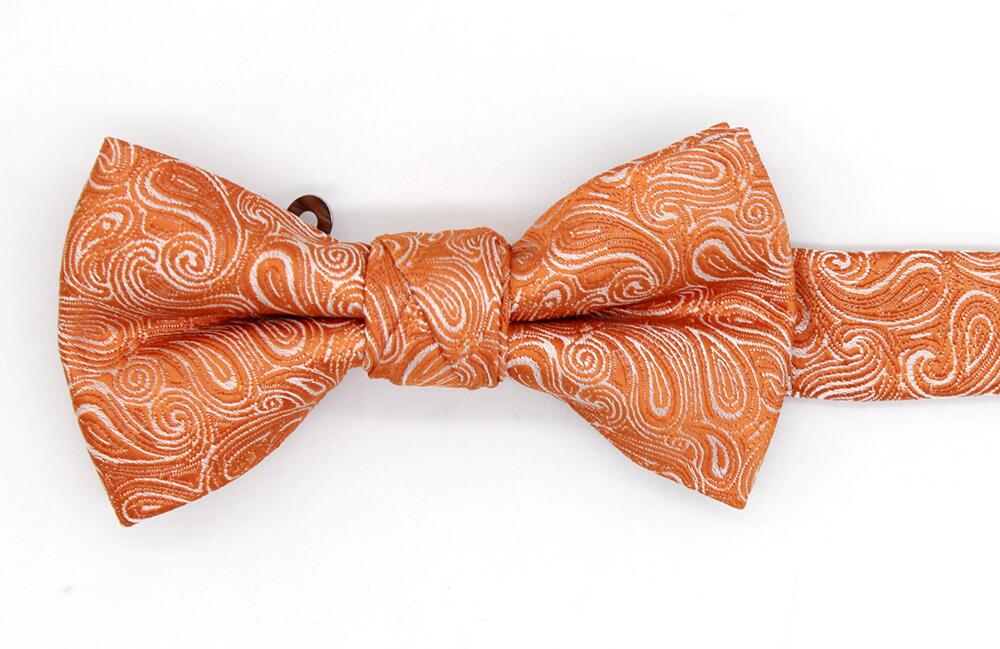 Mix-and-Match Wedding Paisley Boys' Bow Tie