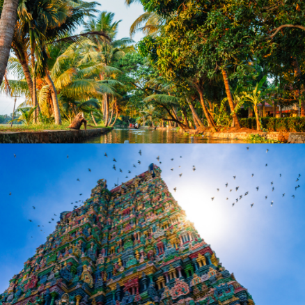 BBC's Rick Stein in Kerala, South India