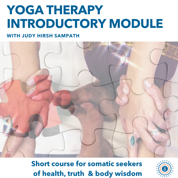 Yoga therapy live online introductory course