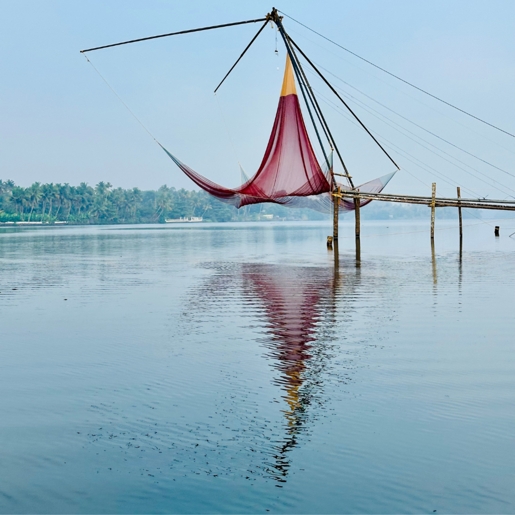 Yoga Holidays in India Winter 2026
