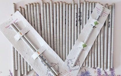 Plantable Pencils-Eco friendly sustainable recycled newspaper pencils - Carrot-Spinach- Grow me- Dont Throw me -Eco friendly stationery