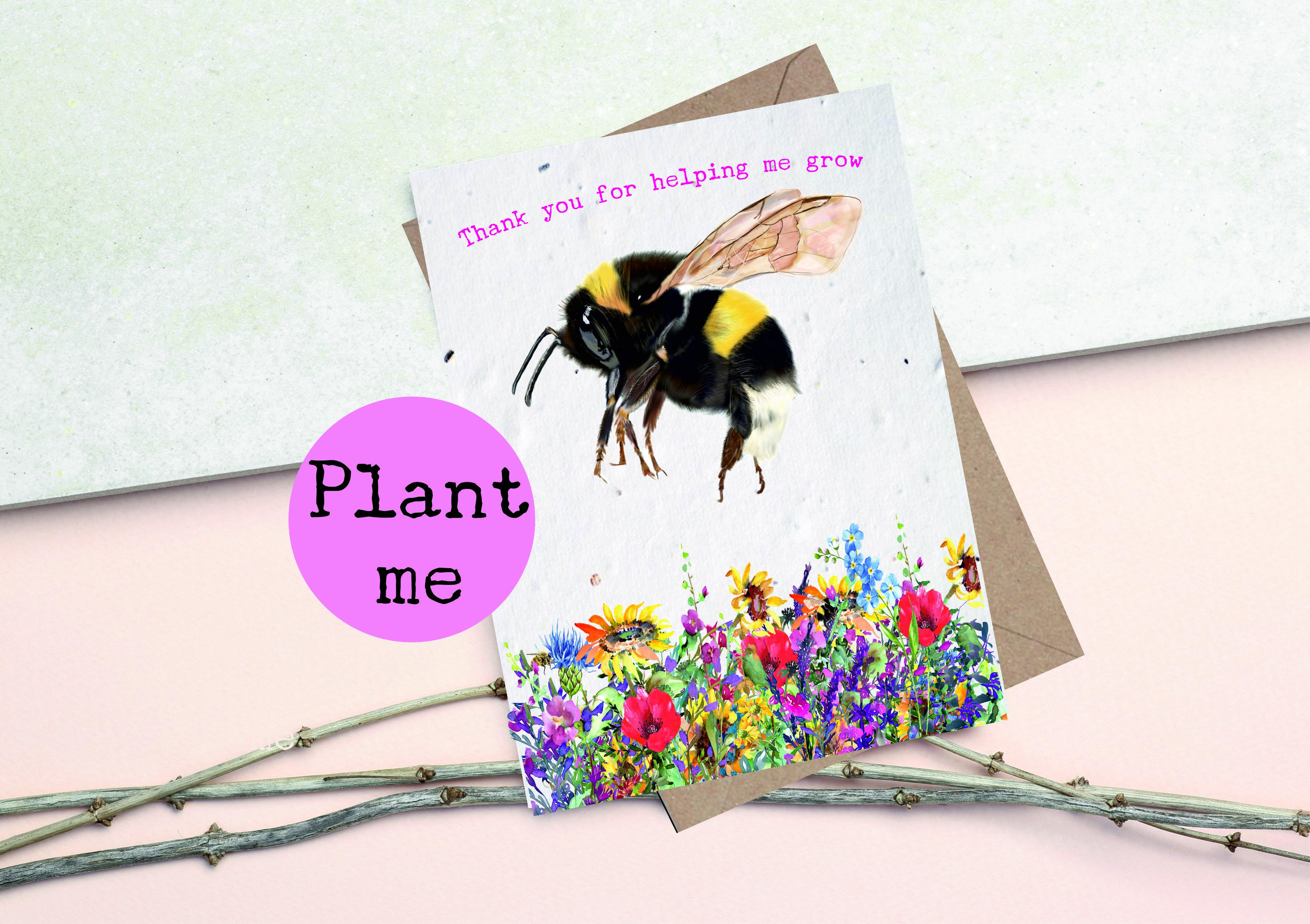 PLANTABLE Teacher Seed Cards- Bee Cards - Wildflower cards - Teacher thankyou cards -Thankyou for helping me grow