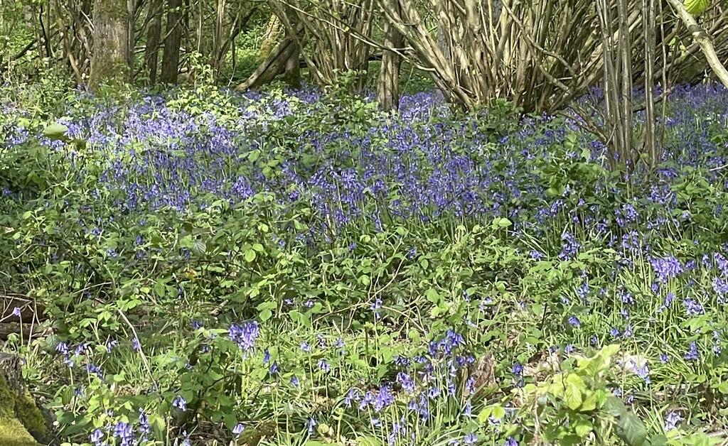 Out of Office: Why Even Handmade Card Makers Need a Leicestershire Day Out.