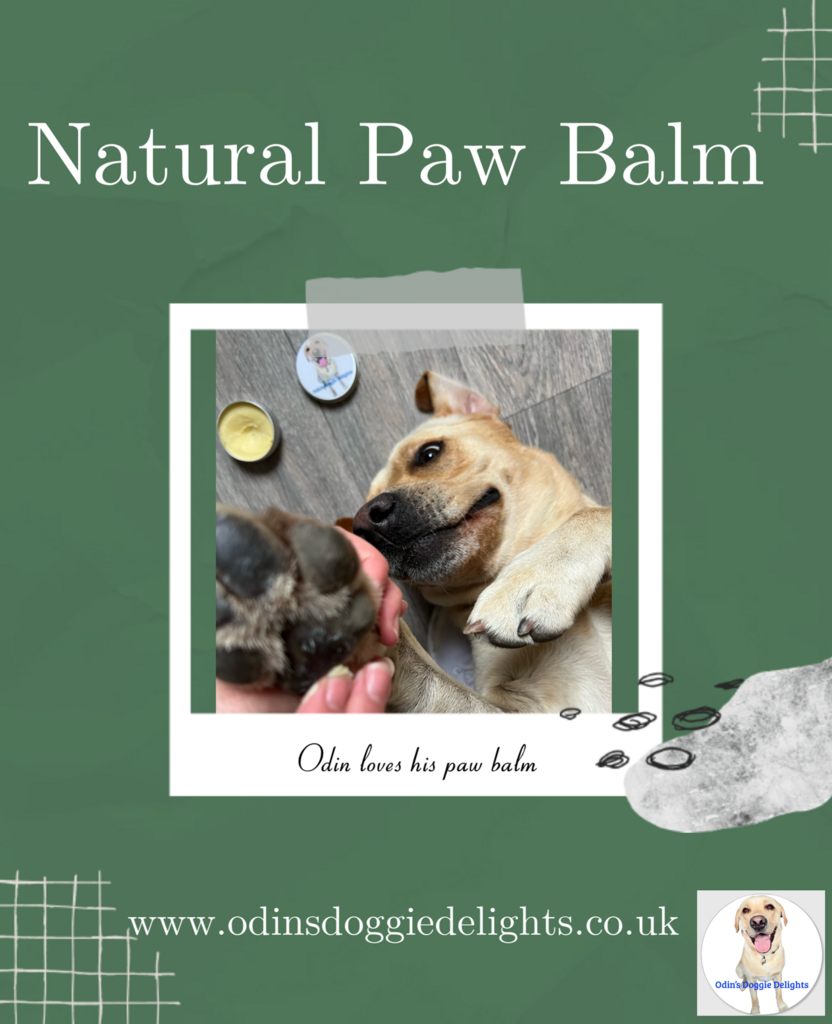 Paw Balms for Dogs A Guide to Keeping Your Furry Friend's Paws Healthy