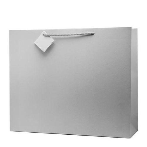 shopper silver gift bag