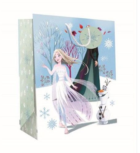 frozen 2 gift bag