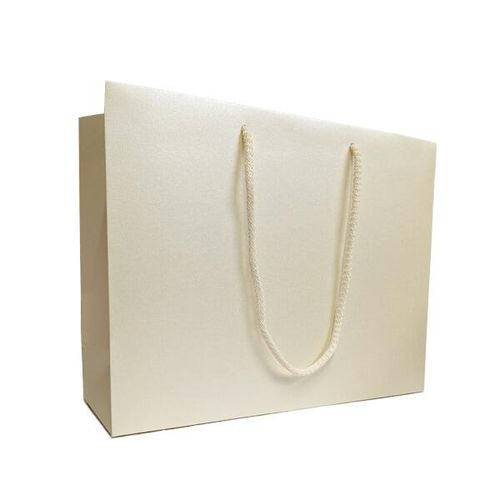 ivory large landscape gift bag