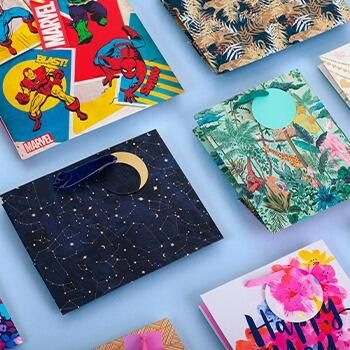 A selection of everyday gift bags in a variety of sizes and colours