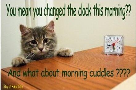 CLOCKS CHANGE - SPRING FORWARD