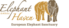 Elephant Haven