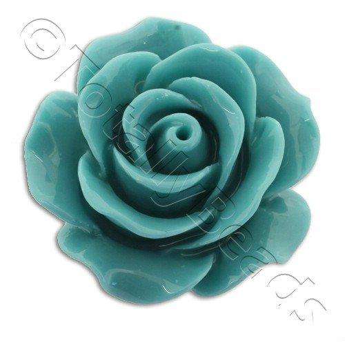 Acrylic Rose 25mm 1 Row - Aqua