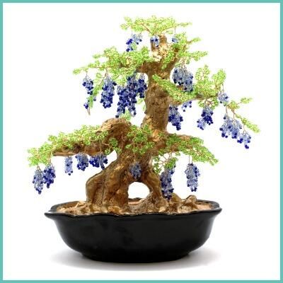 Wisteria with Ceramic Base - 31st May