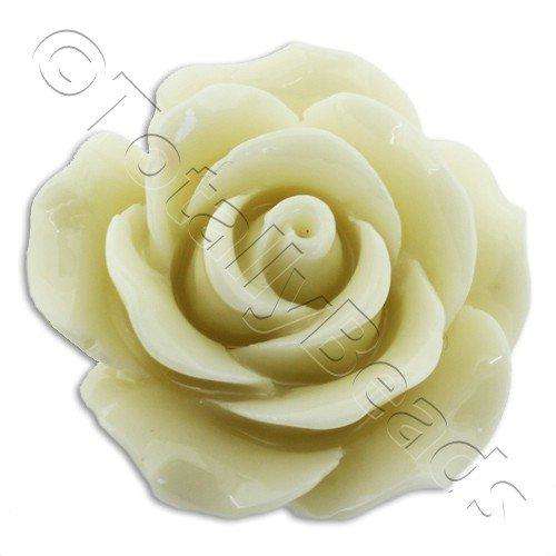 Acrylic Rose 25mm 1 Row - Vanilla